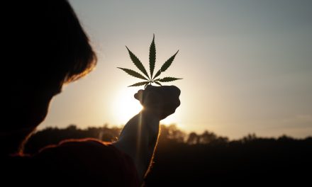 Cannabis: Turning Over a New Leaf