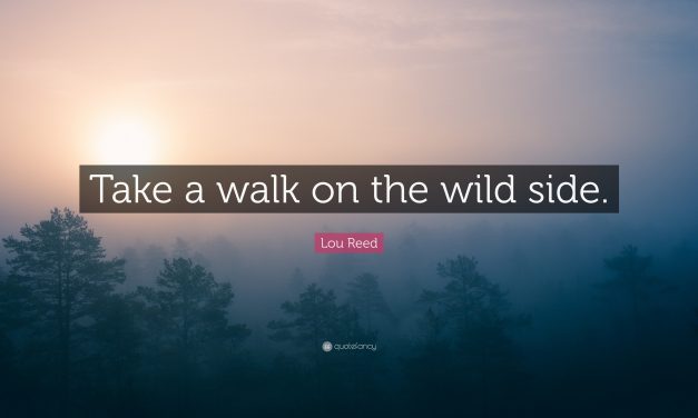 Take a Walk on the Wild Side