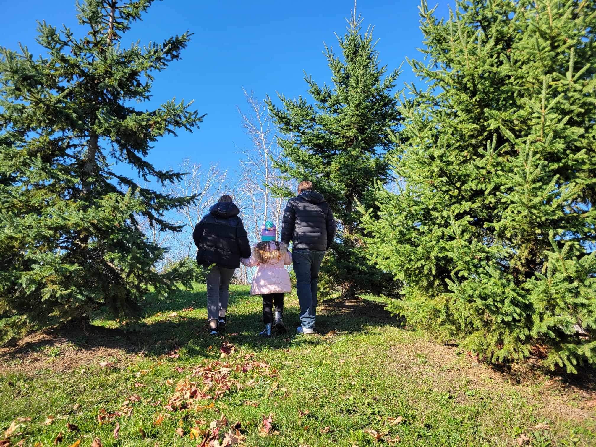 Tina's Story Ottawa - Serenity Renewal 